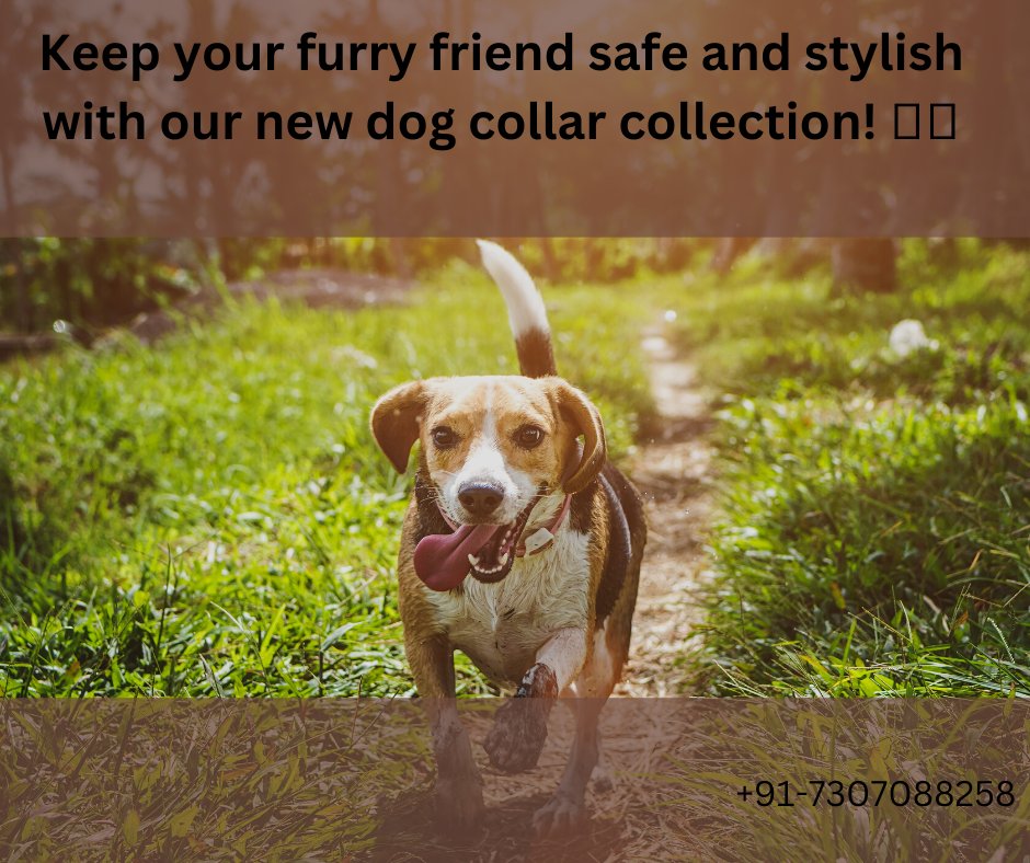 #dogcollars #dogaccessories #petlovers
amazon.in/stores/page/E5…
sparrowdaughter.com
#leatherdogcollar #dogfashion #dogsofinstagram #dogaccessories #stylishdogs #leatherdogcollar
#dapperdog #dogfashion #dogaccessories #dogsofinstagram #pamperedpooch