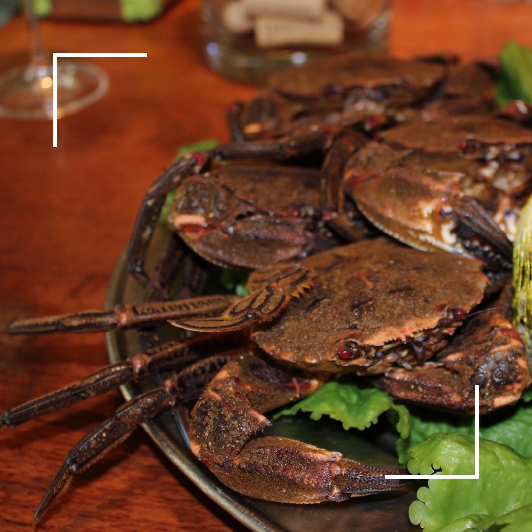 Siempre, siempre, siempre, apostando por la calidad en El Trébol☘️

𝗥𝗲𝘀𝗲𝗿𝘃𝗮 𝗲𝘀𝗰𝗿𝗶𝗯𝗶𝗲́𝗻𝗱𝗼𝗻𝗼𝘀 𝘂𝗻 𝘄𝗵𝗮𝘁𝘀𝗮𝗽𝗽 𝗼 𝗹𝗹𝗮𝗺𝗮́𝗻𝗱𝗼𝗻𝗼𝘀 𝗮𝗹 983 27 24 20✍️