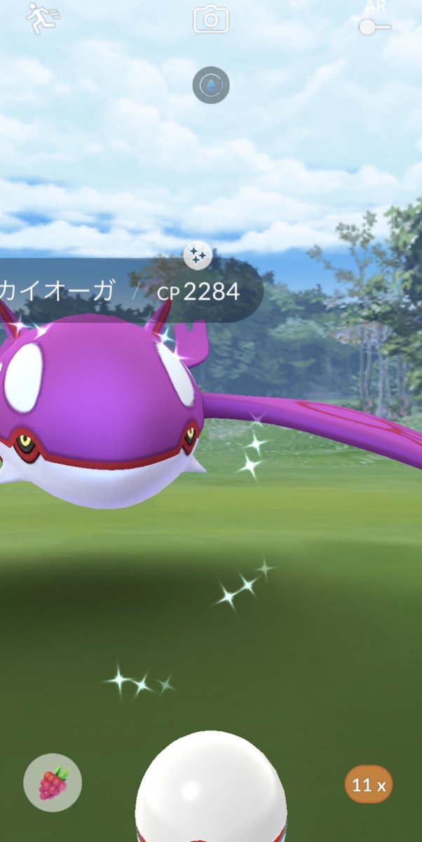 nnk24_n's tweet photo. 今日の成果🙋🏼‍♀️

#ポケモンGO #ゲンシグラードン #ゲンシカイオーガ https://t.co/H0OYBESy8o