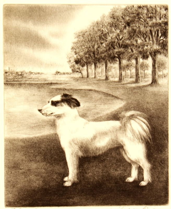 🐕 Je ziét hem klaarstaan om lekker hard weg te rennen.

Honden zijn voor veel mensen belangrijk. Zo ook voor de scheidend directeur van de 
<a href="/MuseaZutphen/">Musea Zutphen</a>. Als dank hebben de medewerkers voor haar 'Lekker los - een ode aan de hond' gemaakt: museum.nl/nl/museum-henr…