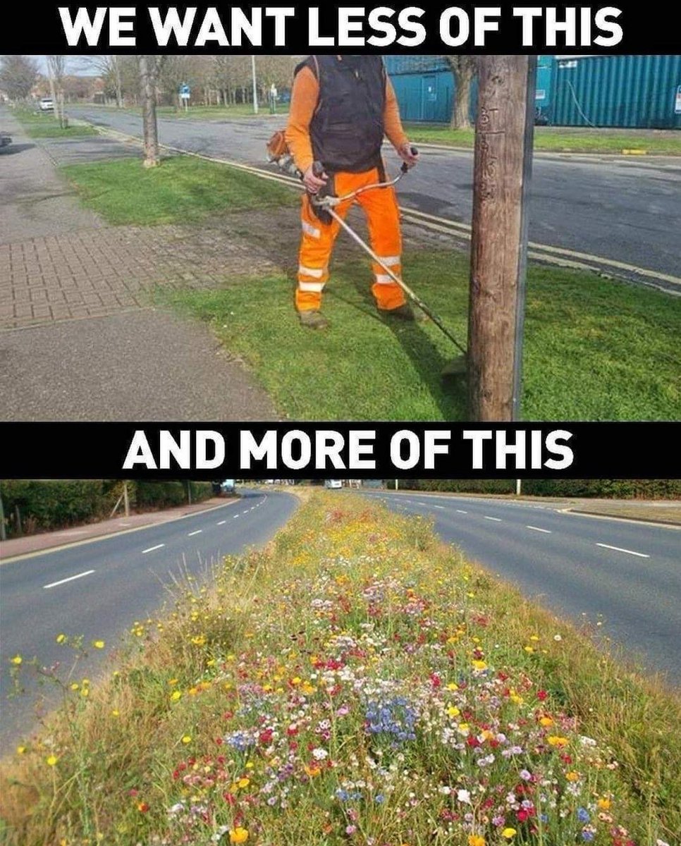 .@DfIPermSec <a href="/deptinfra/">Department for Infrastructure</a> <a href="/belfastcc/">Belfast City Council</a> plan now. Thanks.😀