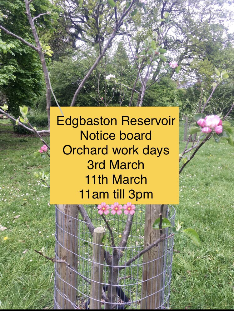 Yay , first #communityorchard pruning workshop of 2023 . See you there . Orchard is on the res opposite side of the old Tower Ballroom site, access Icknield Port entrance , walk behind the sailing club and you’ll see us and 23 fruit trees waiting for you ! #edgbastonreservoir