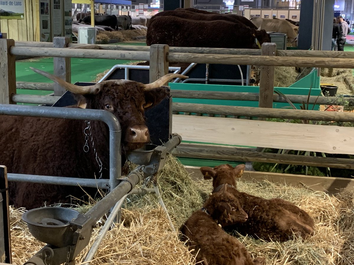 Eric de LA CHESNAIS tweet media