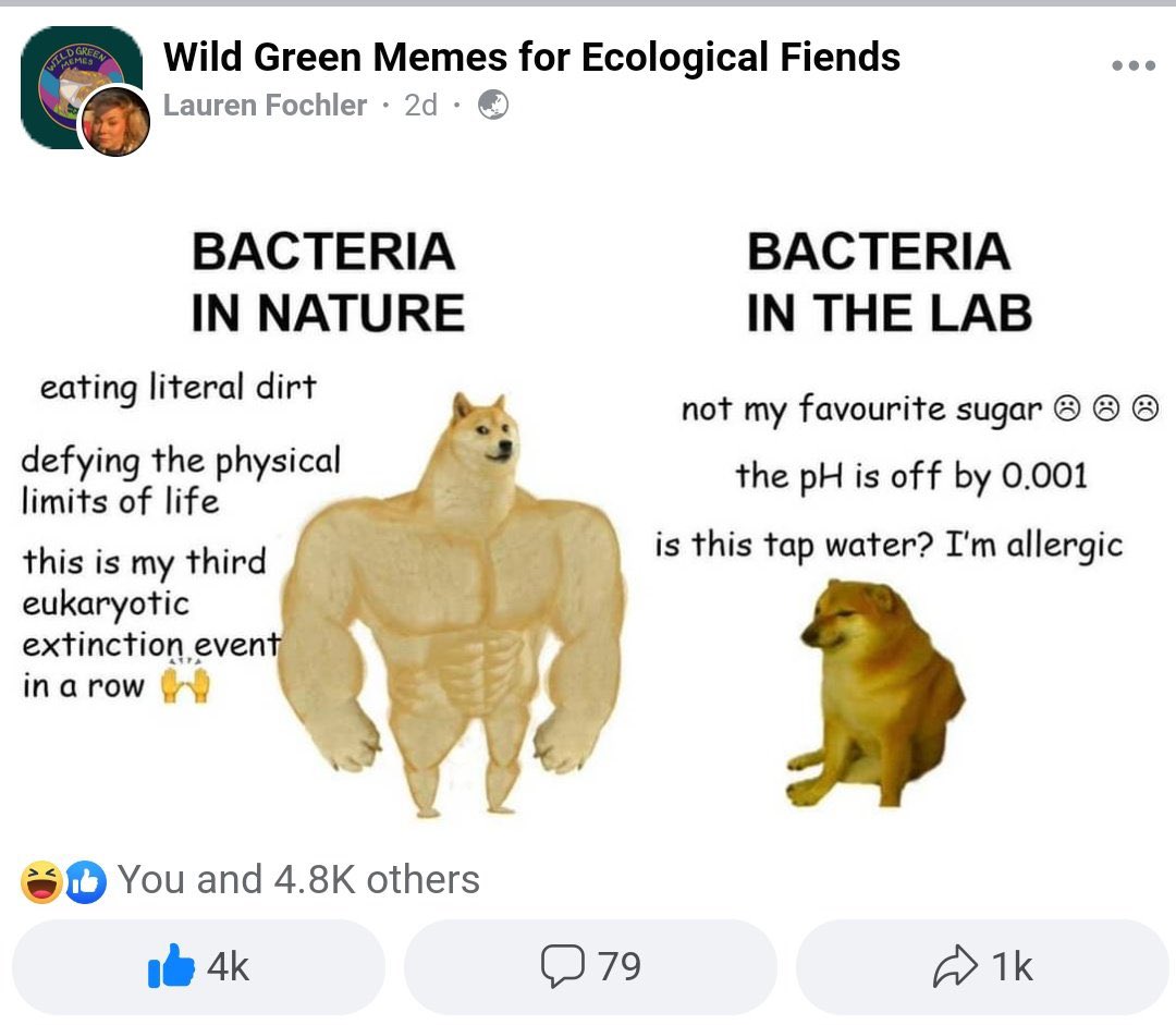 🙆🏻‍♂️😭😅🦠🧫
#microbiology
#bacteria