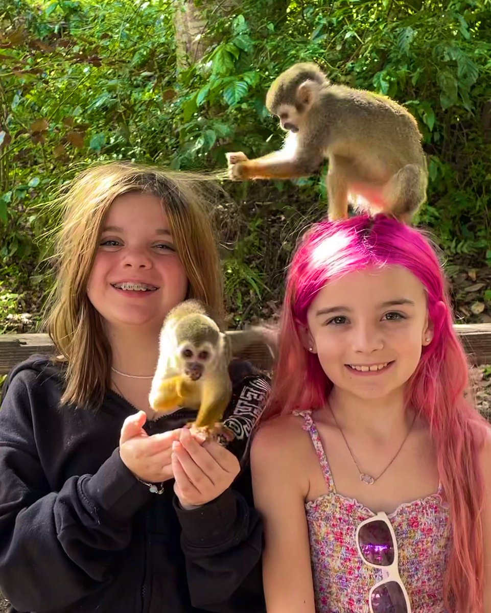 amandabertram's tweet photo. If ever given the opportunity, visit #MonkeyLand with @bavarorunners 🐒 Such an amazing experience! 💕
#BestDayEver https://t.co/a9ngcUp67a
