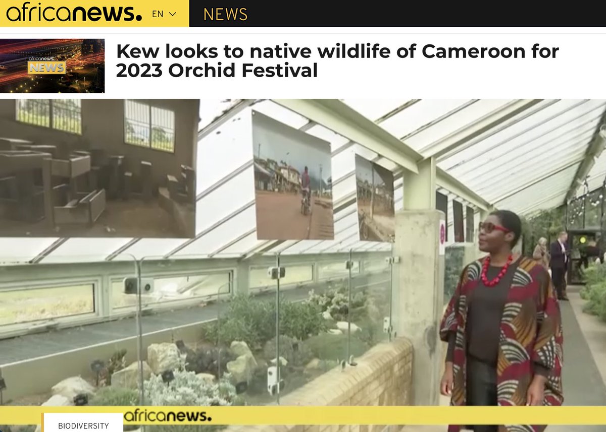 eye.on.art (@eyonart) on Twitter photo Orchids festival putting Cameroon's biodiversity and culture in the spotlight at <a href="/kewgardens/">KewGardens</a> w/ Bikoka Art Project photo & sound art exhibition + talk, performance and screening Sat 4 March with Christine Eyene <a href="/CookingSections/">Cooking Sections</a> Elsa M'bala & Yvon Ngassam Orchids festival putting Cameroon's biodiversity and culture in the spotlight at <a href="/kewgardens/">KewGardens</a> w/ Bikoka Art Project photo & sound art exhibition + talk, performance and screening Sat 4 March with Christine Eyene <a href="/CookingSections/">Cooking Sections</a> Elsa M'bala & Yvon Ngassam
