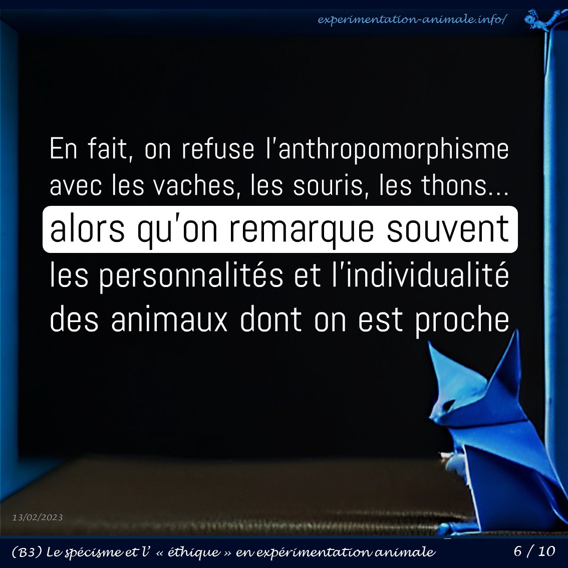 ExpeAnimale's tweet photo. En fait, on refuse l’#anthropomorphisme avec les #vaches, les #souris, les #thons, les #poules… alors qu’on remarque souvent les #personnalités et l’#individualité des animaux dont on est proche.

#ExpérimentationAnimale 🐁🐇🐕🐖🐓🐟🐍🐙 et #Antispécisme ✊ https://t.co/48rw0c5WoO