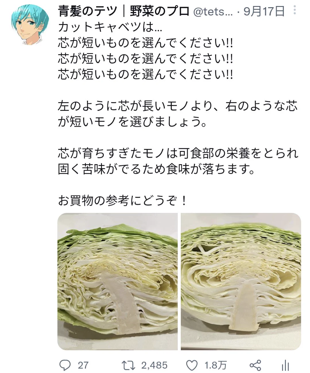八百屋に何かの恨みが？内容は有益なのに盛大に誤字で話題！