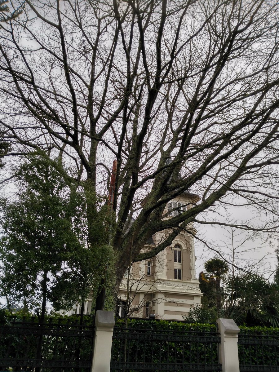 ManuelFreireEA's tweet image. Quinta Canaima #Xardíns árbores senlleiras locais #Oleiros #Indianos #Americanos #Emigración