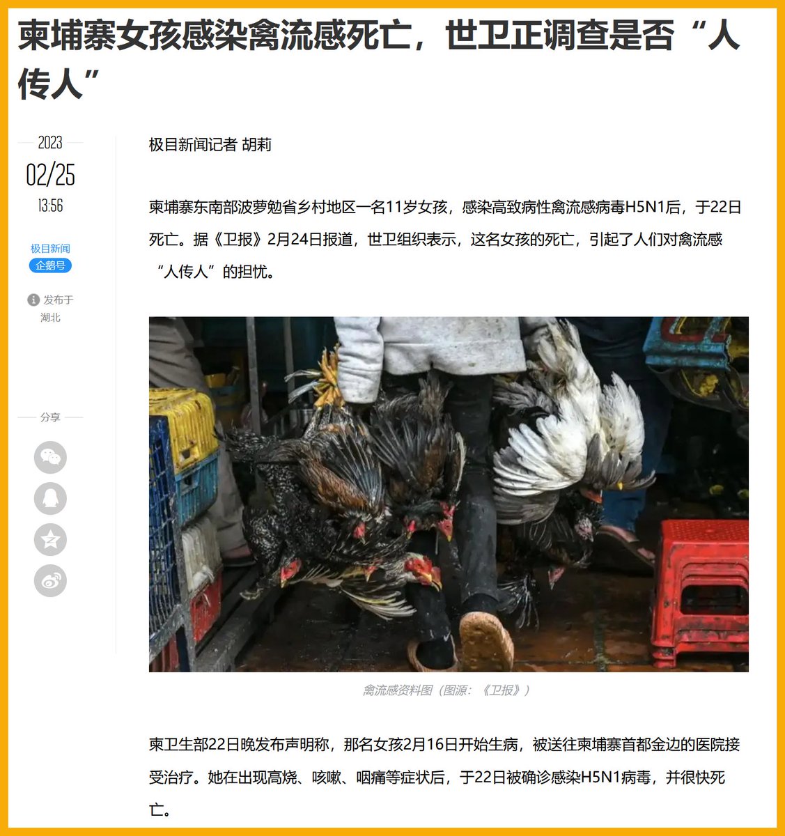 My Image 30