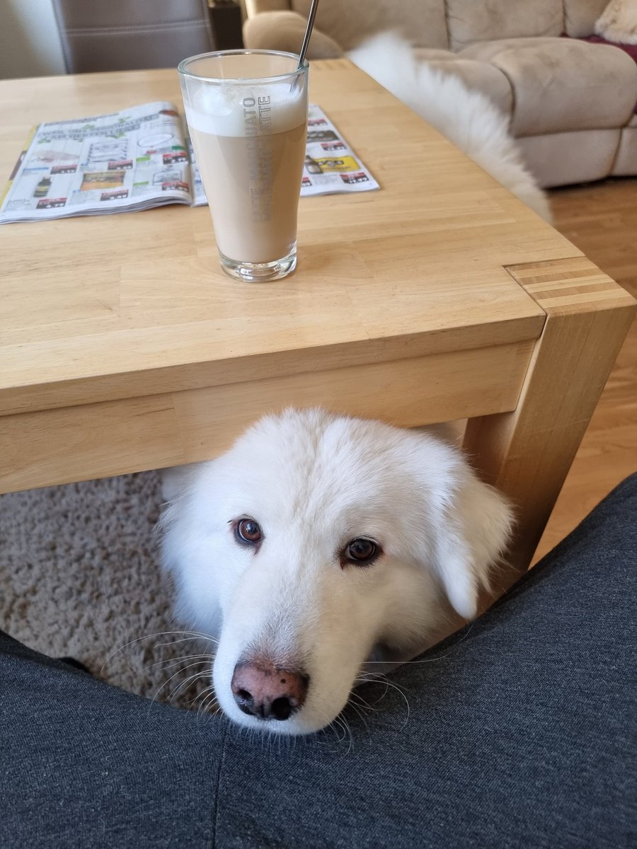 Kein Kommentar. Guten Morgen.