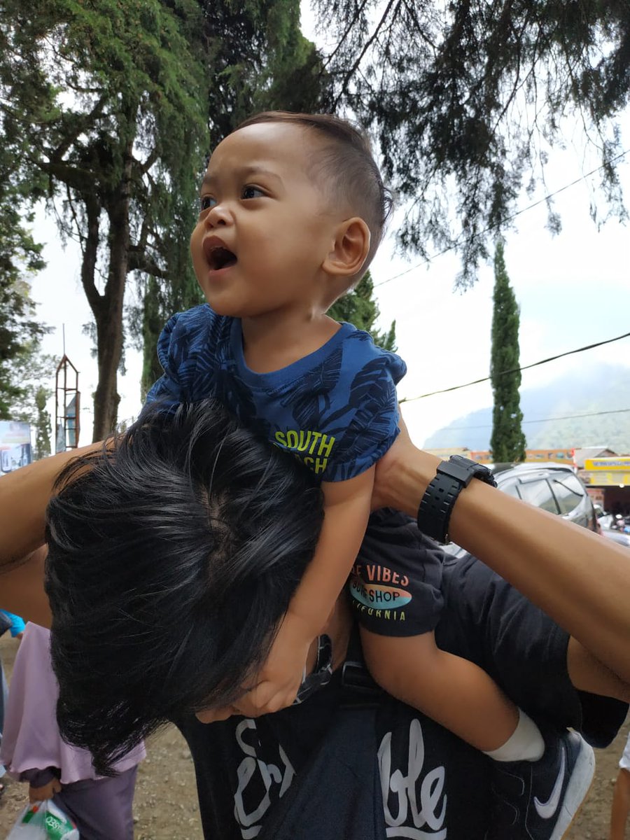 findbima's tweet image. 