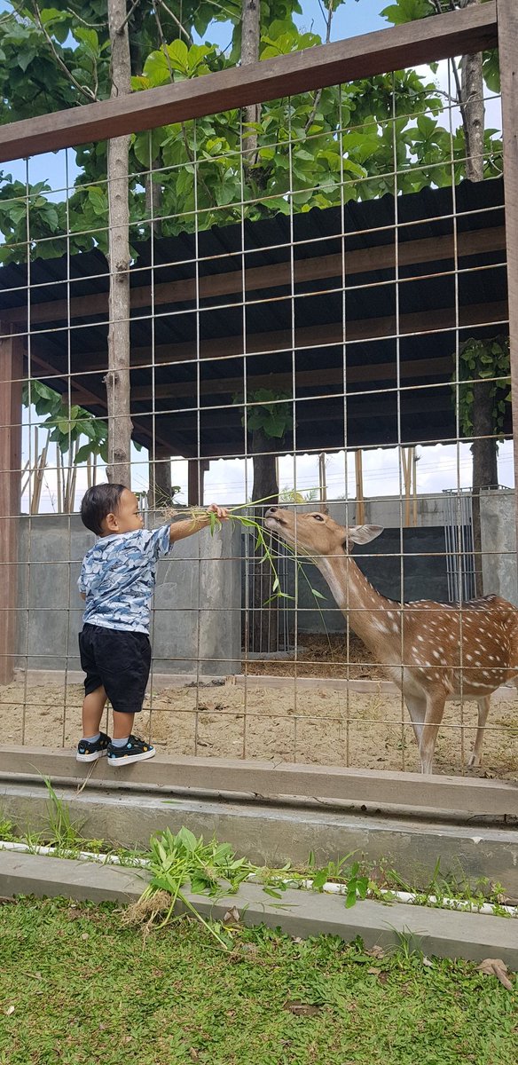 findbima's tweet image. 