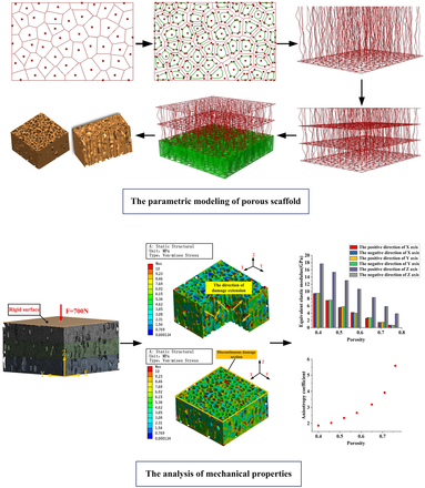 EnginMedicine's tweet photo. Based on #Voronoi -Tessellation and random function theory, this paper proposed a design method with controllable pore density, adjustable pore shape and size, and heterogeneous pore distribution of porous #BoneScaffold.
https://t.co/RvagF63QvZ
#FEM #ArtificialBone #anisotropy https://t.co/b04y7rnQU6