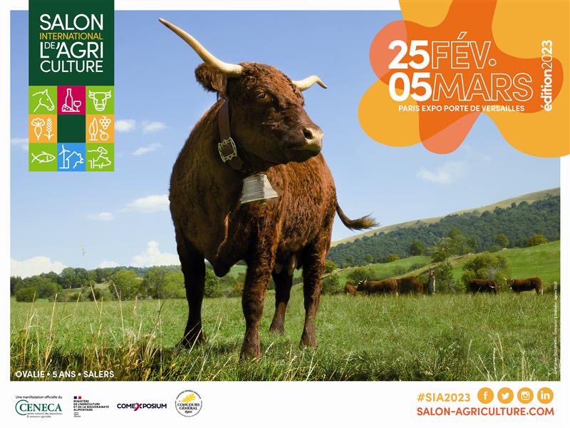 MsaLimousin's tweet image. #SIA2023 J-J 🐮 Que les festivités commencent ! 
Retrouvez la MSA au @Salondelagri ! Au programme : 
💬 Espace accueil
🎉 Animations et ateliers 
📺 Plateau #MSATVauSIA 

Rendez-vous Hall 4 - Allée B - Stand 083

Le programme complet 👉 limousin.msa.fr/lfp/web/msa-li…