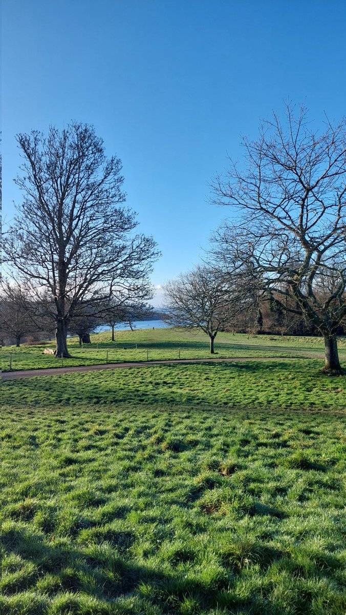 Beautiful morning for a bit of #parkrun marshalling