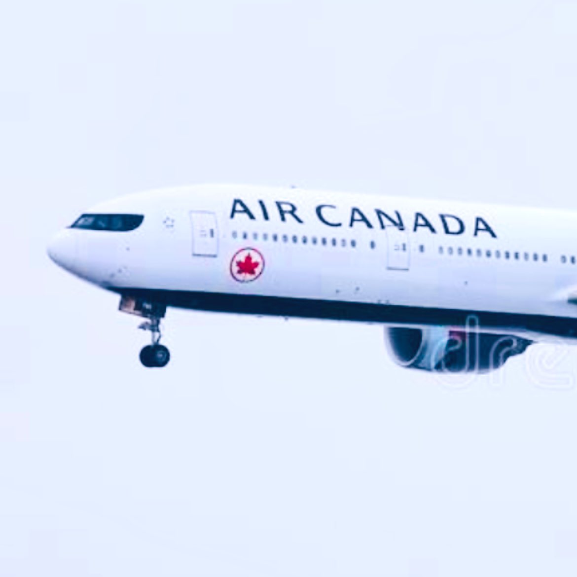 Amit_Tokyo's tweet photo. @Vinamralongani @Bundeskanzler @Team_Luftwaffe @USAS_WW1 Yeah this is a #beautifulmachine. I particularly like #AirCanada as they have gone an #extramile in enhancing the badassness of their #eyemask. 

📸: Social Media https://t.co/M6IlN99wKS