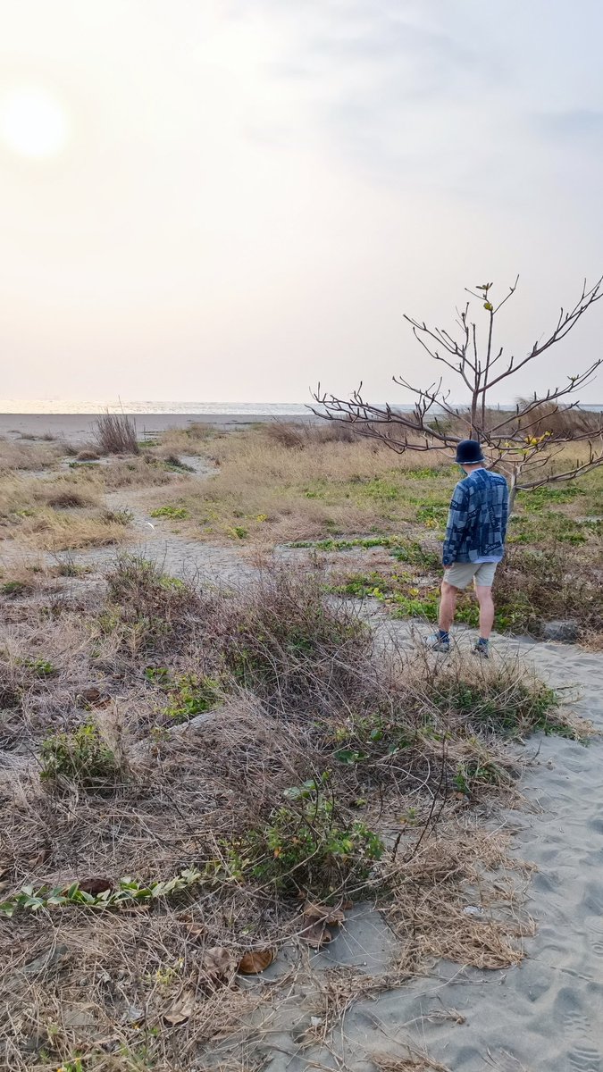 初訪小美軍
這棵樹太有意境了吧