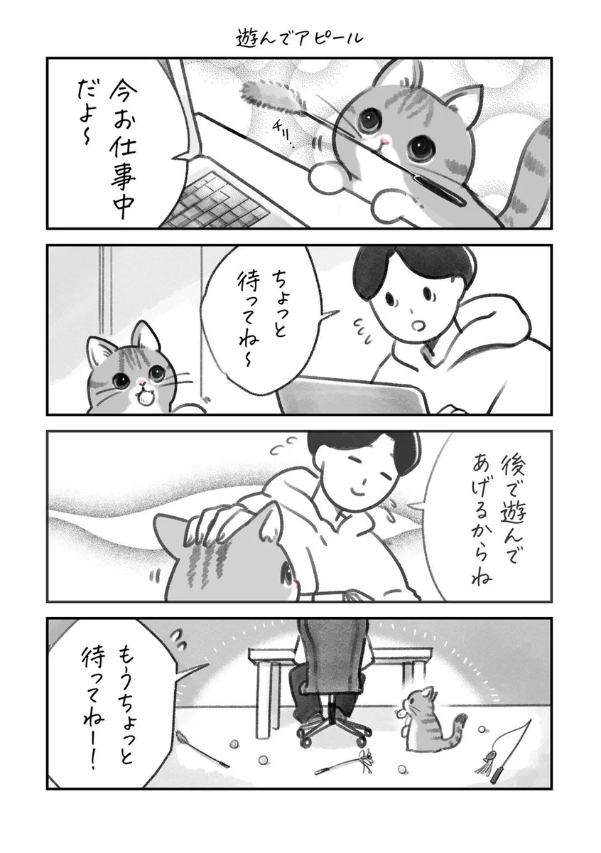 お仕事中に愛猫がおもちゃを持ってきて･･･！可愛すぎる「猫漫画」が話題に！