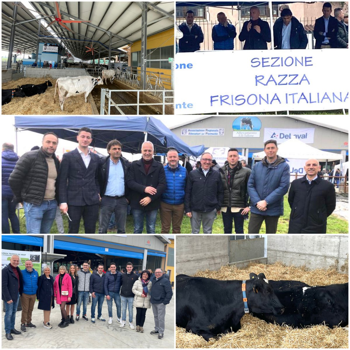 GiorgioBergesio's tweet photo. A #Centallo, presso l’azienda dei fratelli Bruno e Alberto Tallone, al Meeting Regionale Frisona Porte Aperte 2023, promosso dall'Arap. 
Una giornata che ha visto convivere la tradizione di un allevamento a conduzione familiare con l’alta tecnologia ⬇️ https://t.co/Q27fhut85F