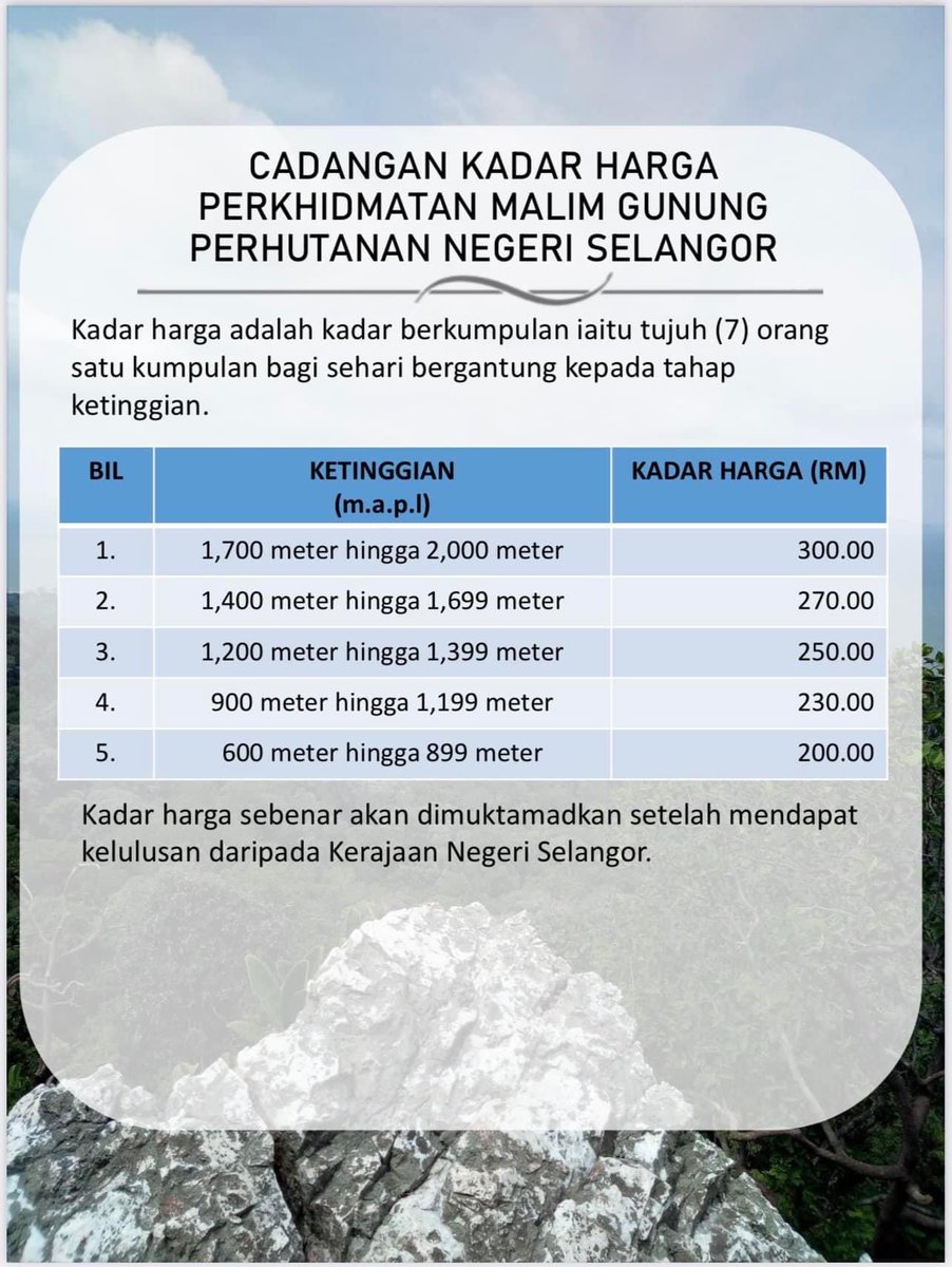 Average Joe tweet media