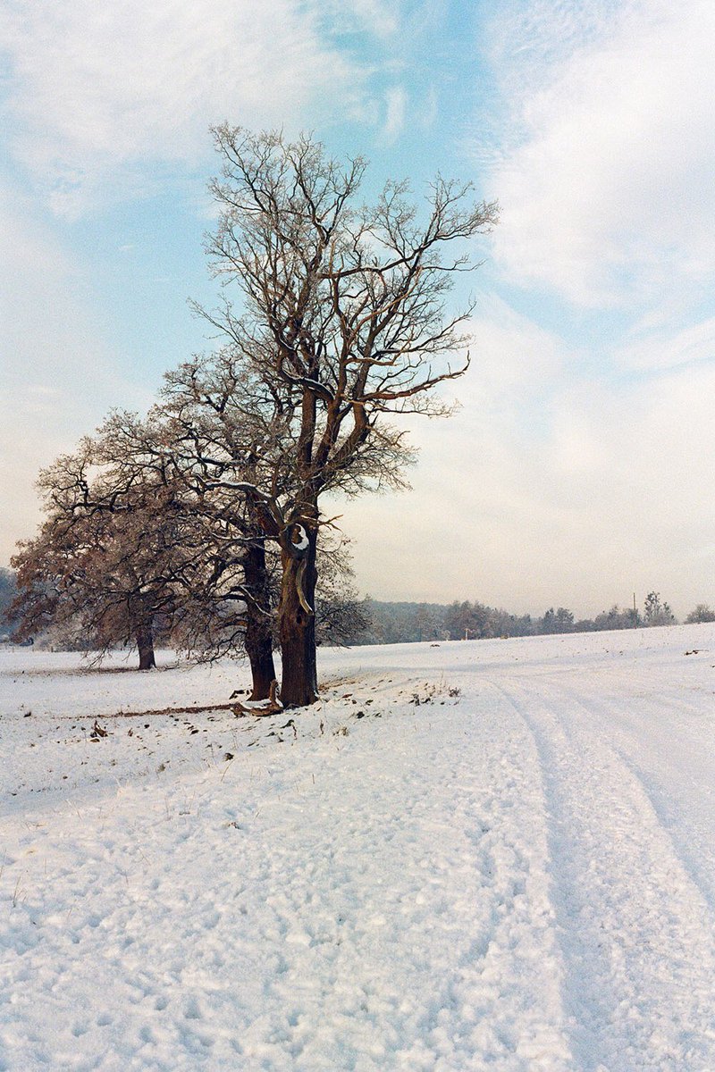 nickpage's tweet image. Early Morning Snow. #film #35mm #istillshootfilm #hertford #hertfordshire