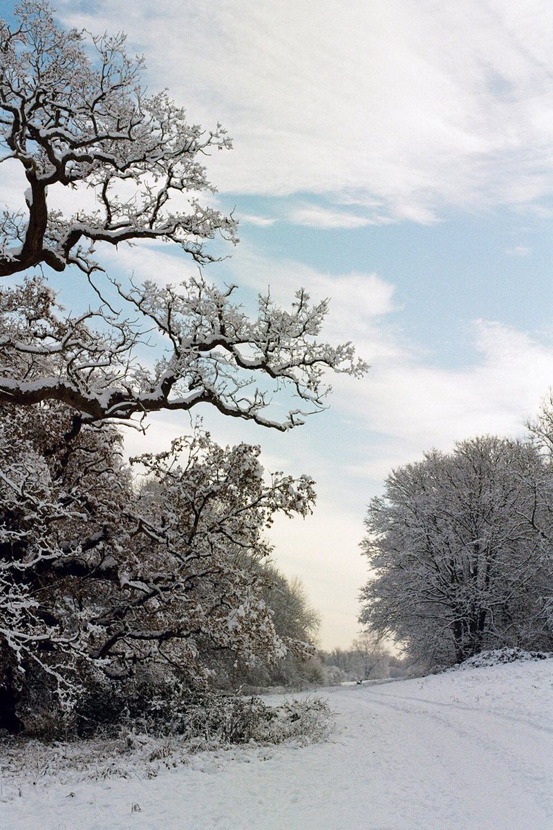 nickpage's tweet image. Early Morning Snow. #film #35mm #istillshootfilm #hertford #hertfordshire
