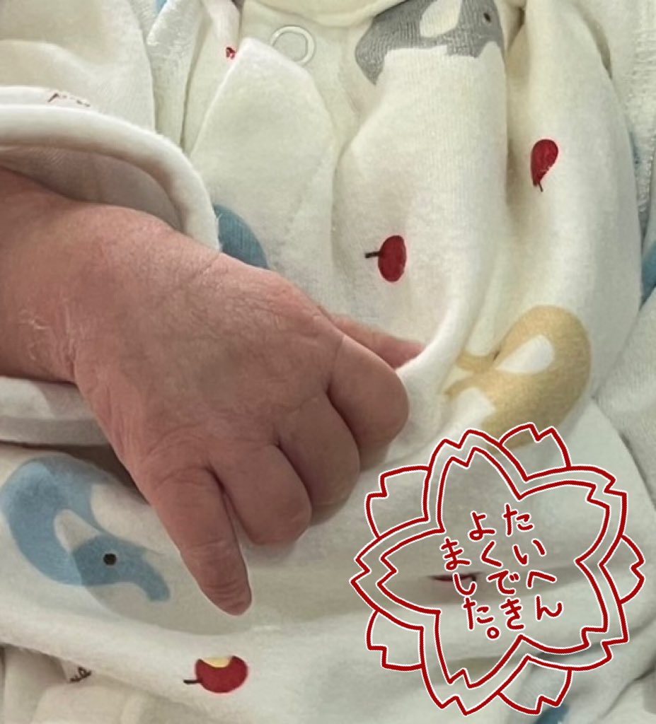 モモ@らぴゅ子 tweet media