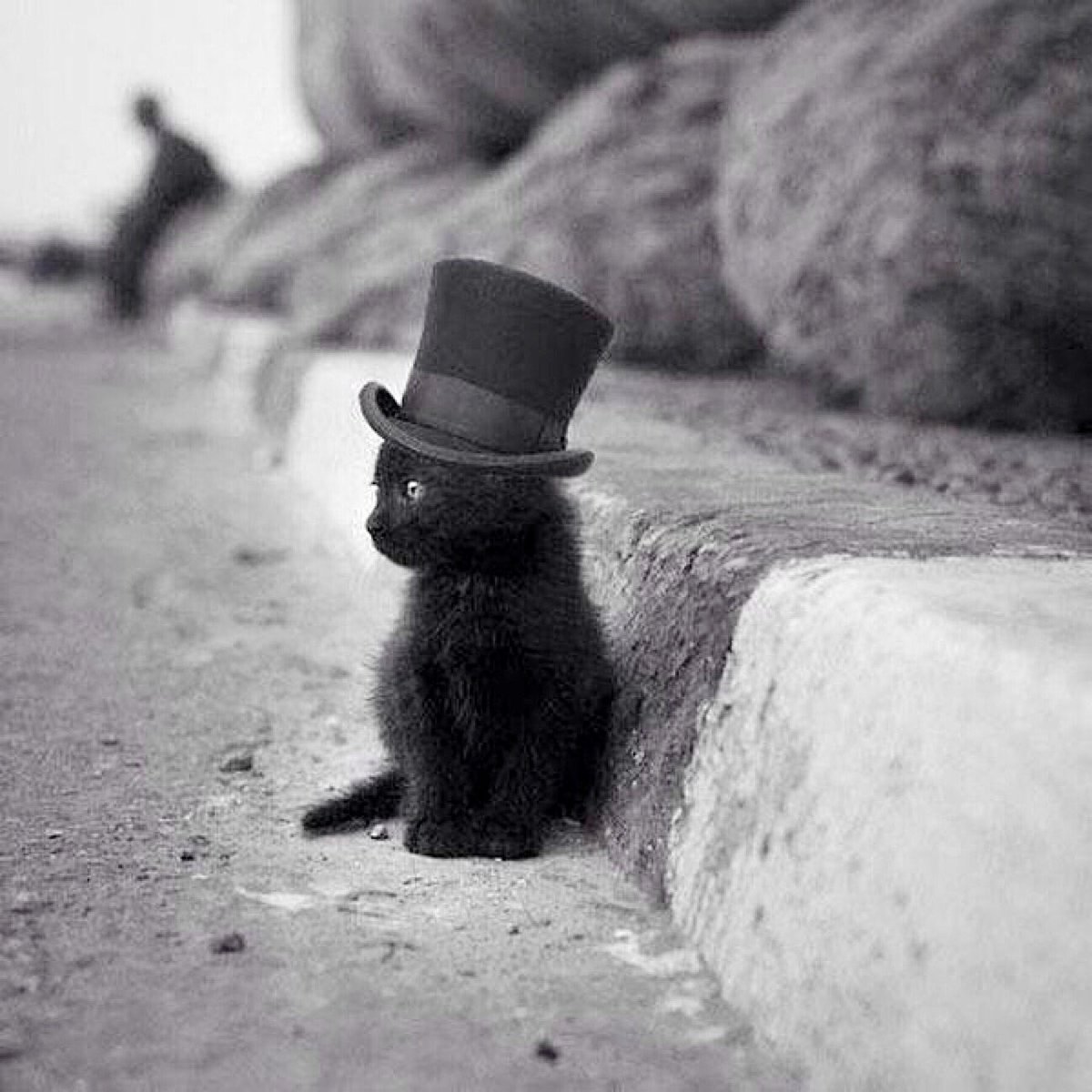 An artful dodger, or landed gentry? I think that he's a poor little street urchin.