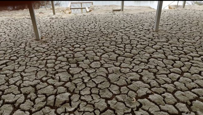 JAdamsSSDD's tweet image. We’ll bowl first thanks….#adamsrepublicofcaurnamont #safloods #saproud