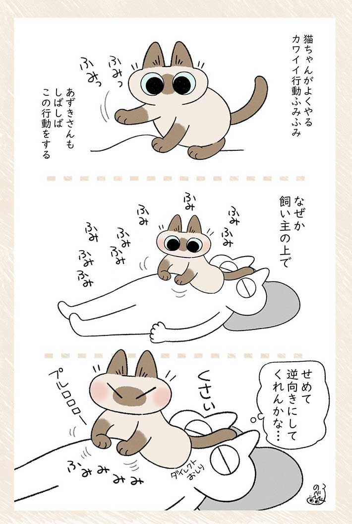 「かわいいけど、くさい…!でもかわいい!」 飼い主がちょっと困っている、愛猫の行動は? https://t.co/Nt3NeFWGHa @grapeejpより