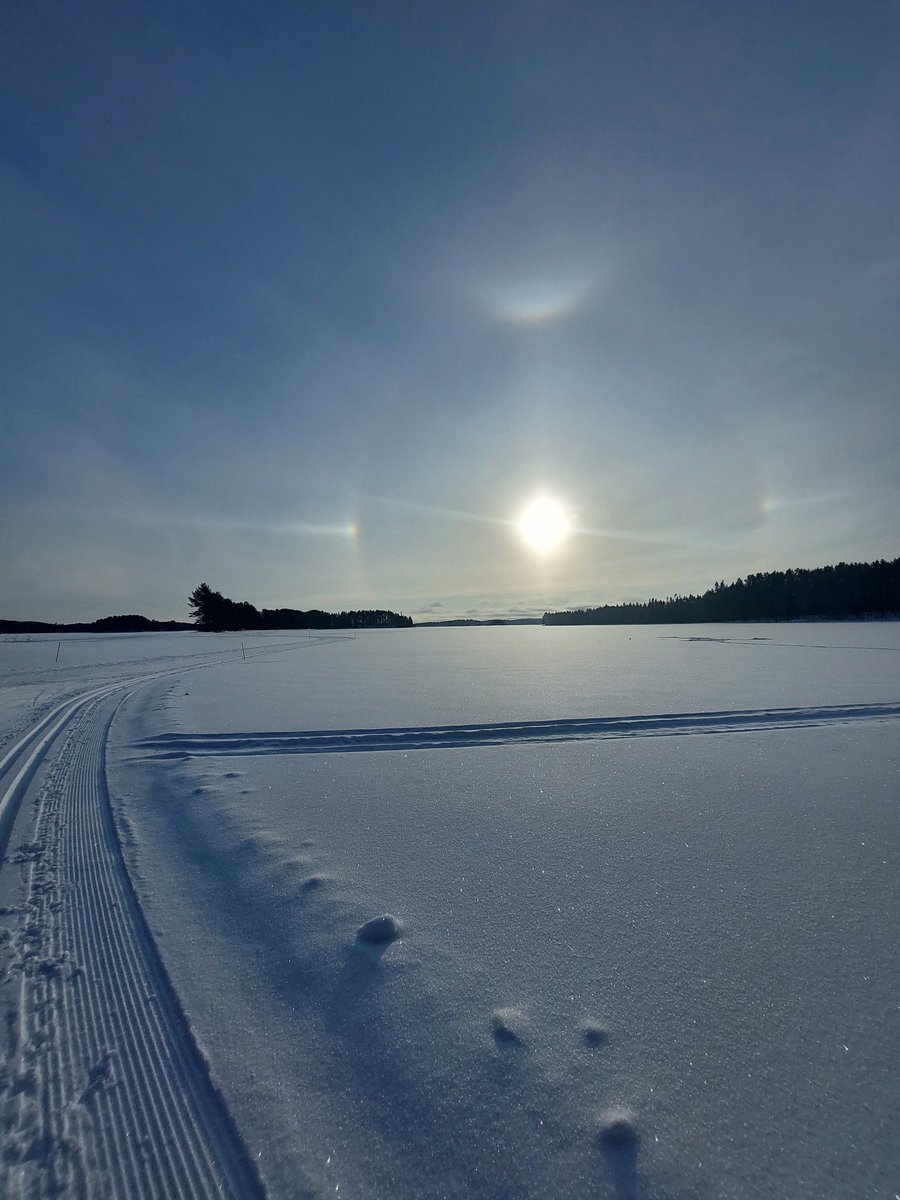 minna625's tweet photo. Kaunis haloilmiö saatteli minua tänään aamun #hiihto'lenkillä. Pakkanen, vitilumi ja minä sovimme hyvin yhteen. #Pinkit sauvat oli haastavampaa saada kuviin. #liikunnanilo #Kuhmo https://t.co/P7UyKmf86r