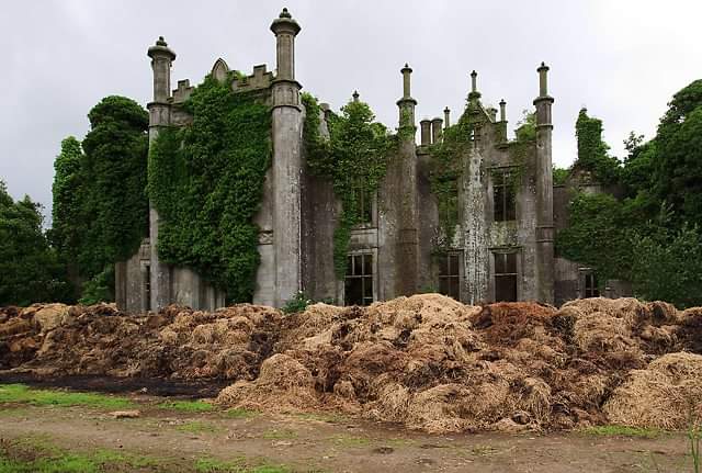 Coolbawn House, Rathnure, was another victim of the Civil War. It was burned down by armed men on the night of February 28th 1923. Photos: Mike Searle (CC BY-SA 2.0)