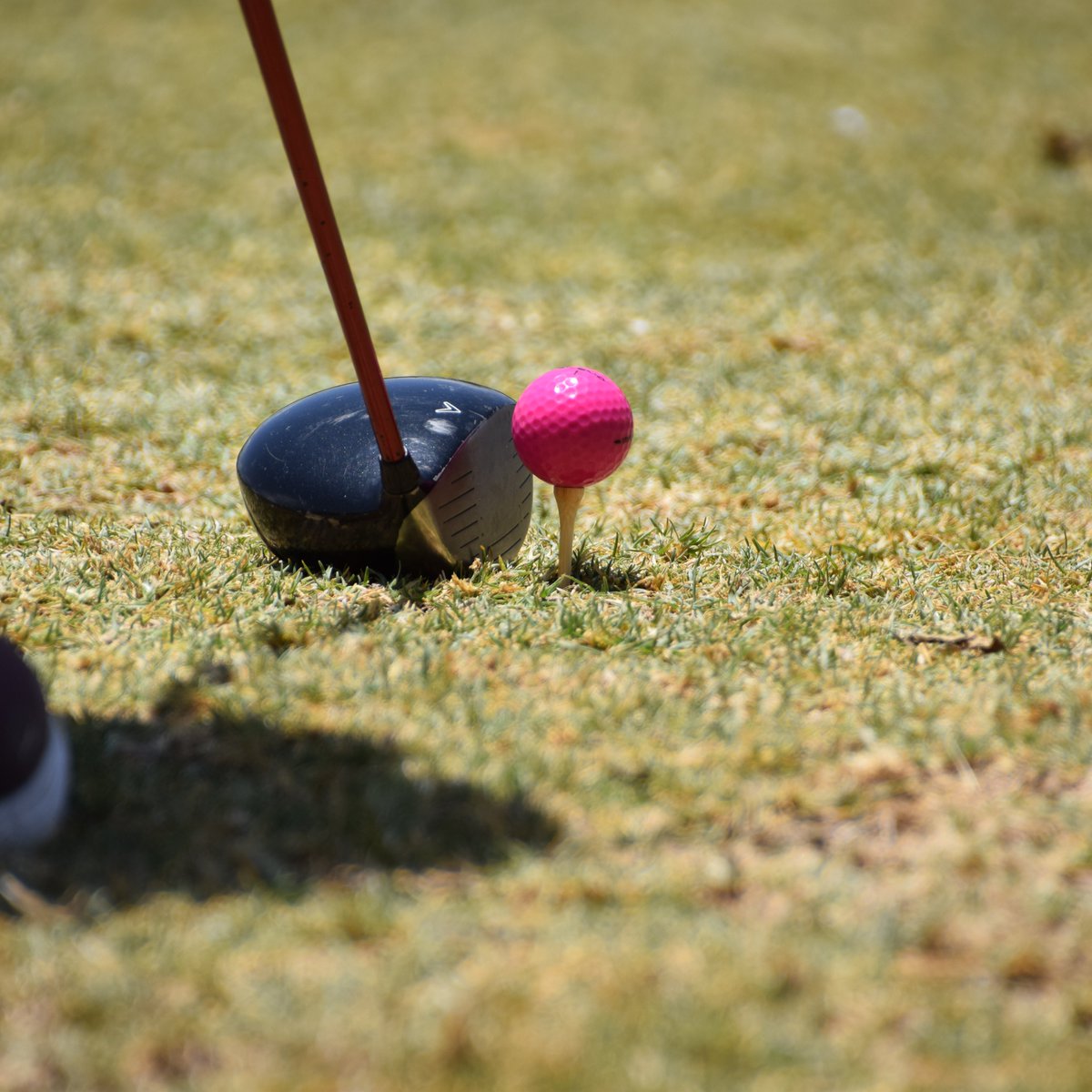 CIC Group PLC on Twitter "Does golf ball color make a difference? Let's find out... at Naivasha