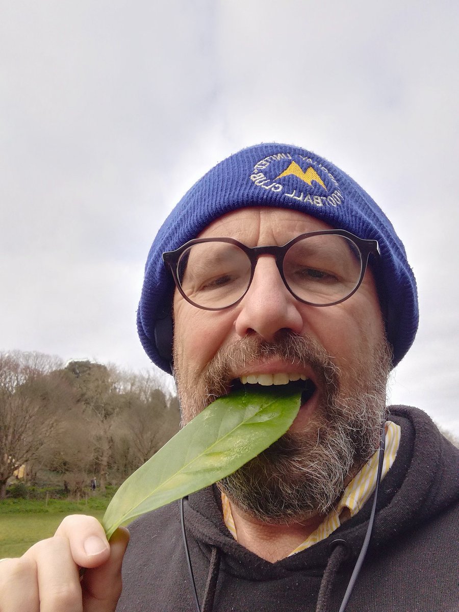 Byehorse's tweet photo. @NatObsPod Ready for another afternoon of comedy #tufc #Stoodley Can't stop, won't stop. #weallloveleaves https://t.co/8X08wZfaZ9