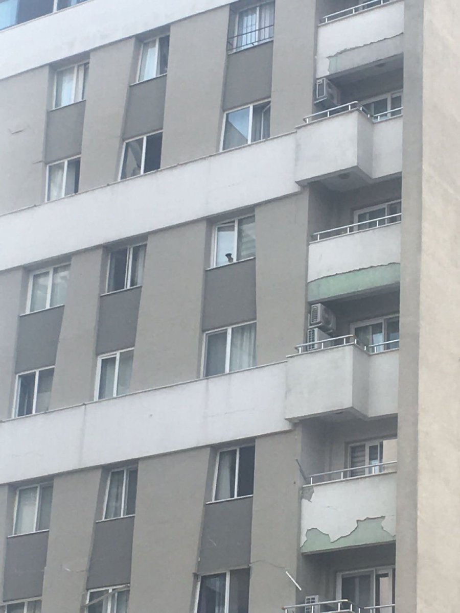 masum_gozler's tweet photo. ACİL ACİL ACİL 
Antakya Terasrvler sitesi D blok 7. katta bir köpek var acil kurtarılması lazım. 
Camdan bakıyor. 
Otogar arkasında..

@mustafa__bag https://t.co/csZ8B7Qbm1