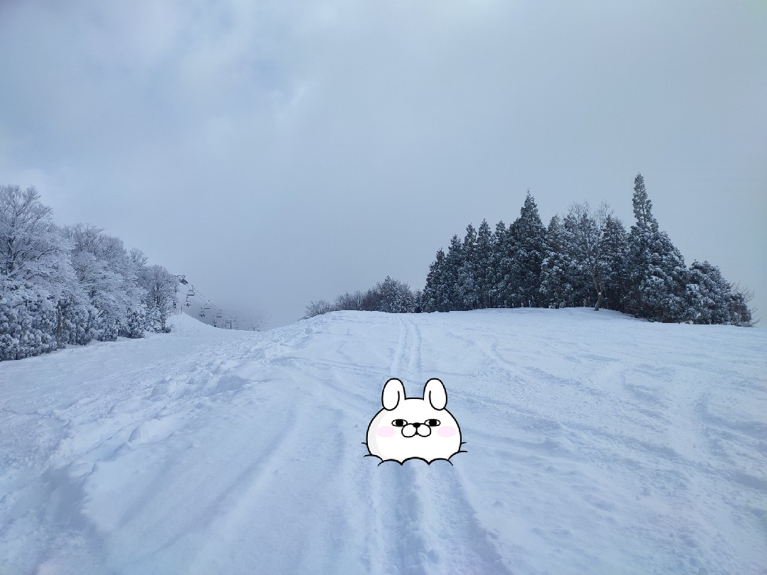 csar_koji's tweet photo. #福井県
#スキージャム勝山
#ヨッシースタンプ https://t.co/GHYdPJwkLZ