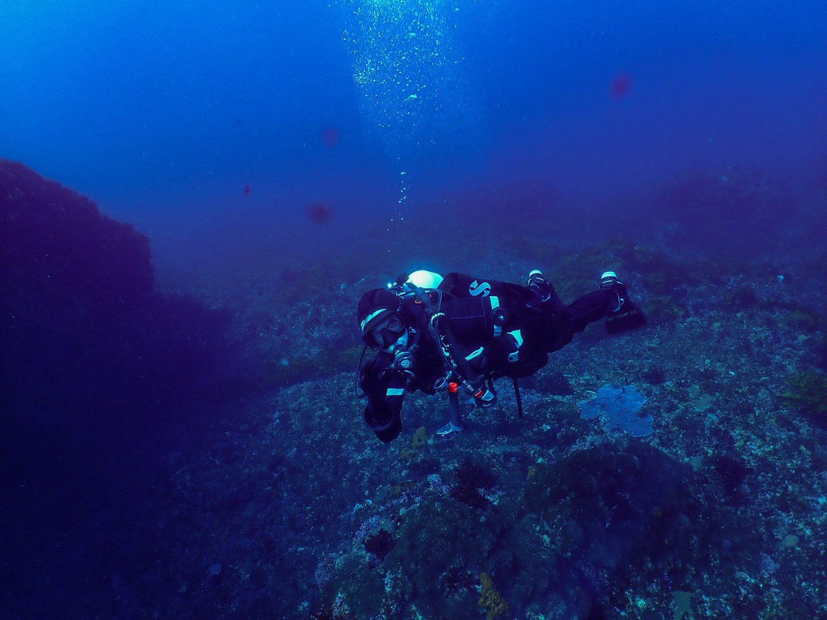 CommandaRs's tweet image. 