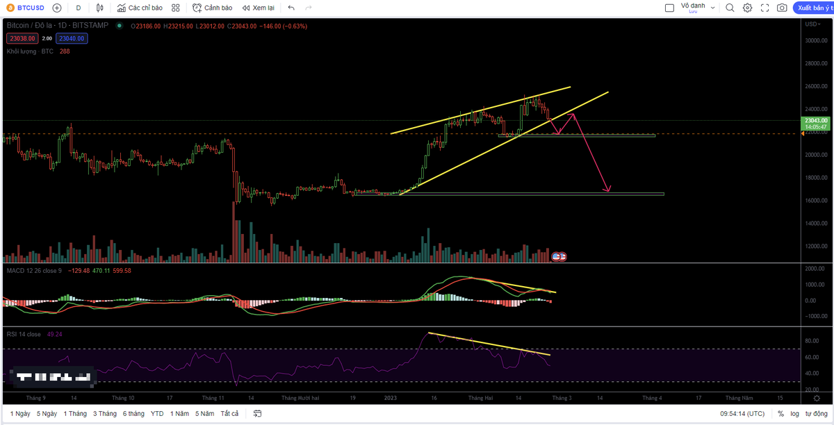 Crypto Index 369 tweet media