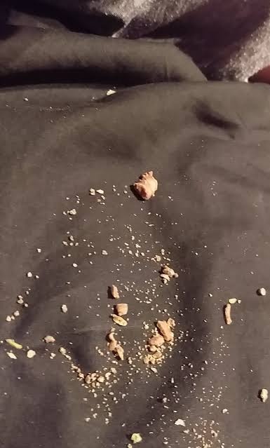 efenri1s's tweet photo. Oh God! Look at all these crumbs on my bed. Looks like I'm either a pig or I fucked the gingerbread man's wife! https://t.co/fUDtgxLrBS