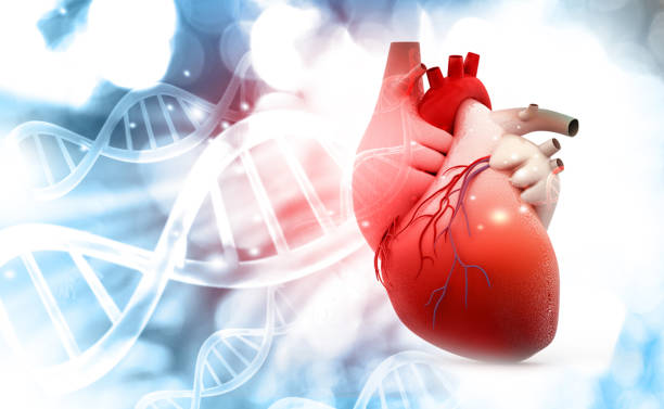 Online now, Huazhong University researchers use #CRISPR-based homology-directed repair of the MYBPC3 gene to rescue #HypertrophicCardiomyopathy phenotypes in an animal model. Read #GTArticle here now➡️nature.com/articles/s4143…
📷: ©iStock