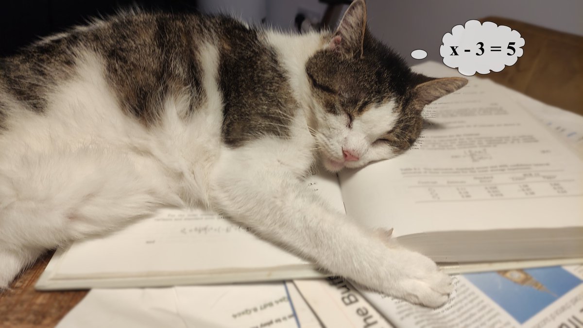 Dreaming of #algebra?  Use our 11+ algebra practice papers to help build confidence.  Suitable for all styles - GL, CEM &amp; Independent.  From £1.25 each.
mastermoose.com/product/11-plu…
#Caturday