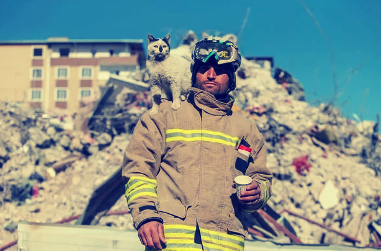Bir yaşlı adama sordum "Beybaba, sence hangi alanda kariyer yapabilirim?" Gülümseyerek dedi ki "İyi bir insan ol. Bu alanda çok fırsatlar ve çok az rekabet vardır..."