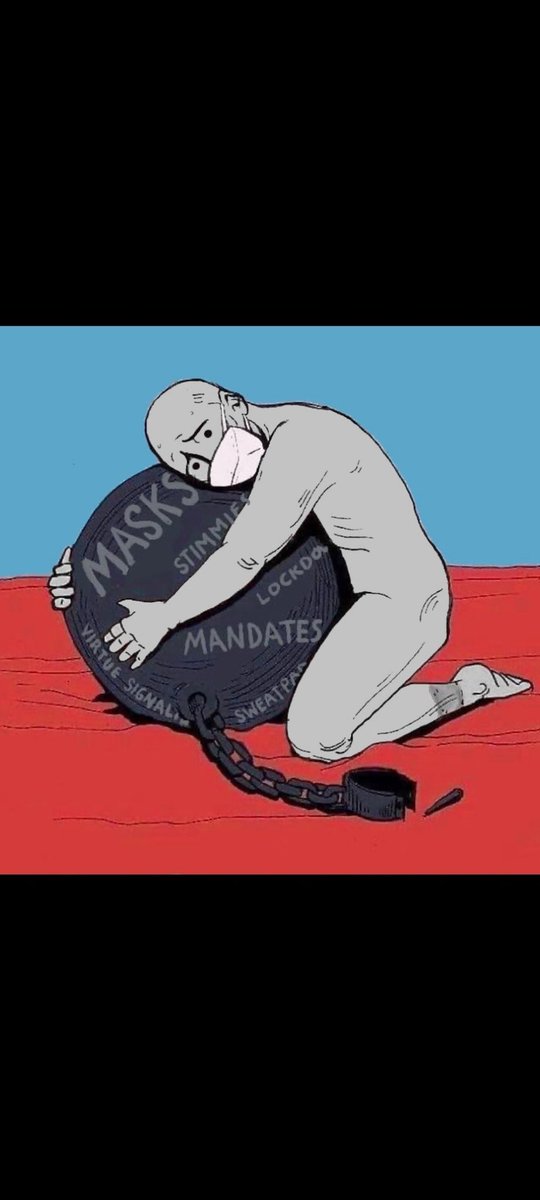 @KycajDangerous <a href="/tomcat2k4/">Thomas Gössel</a> <a href="/elonmusk/">Elon Musk</a> <a href="/KanekoaTheGreat/">KanekoaTheGreat</a>