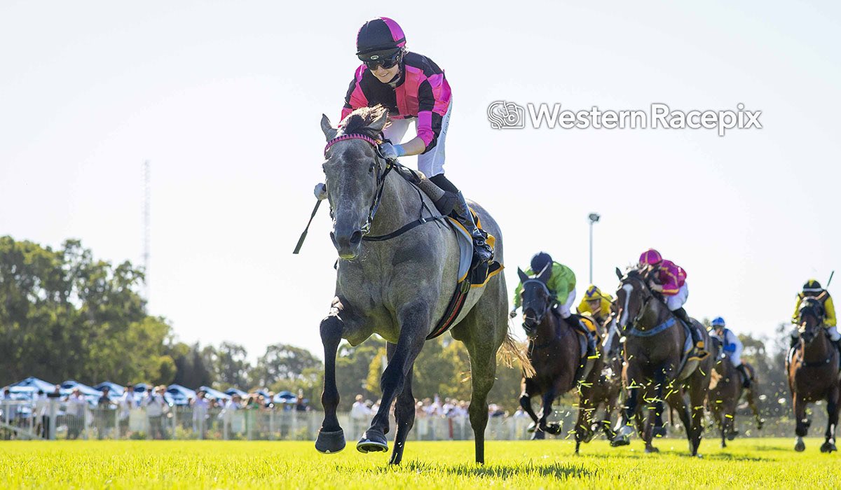 JasonMillerRace's tweet image. ADMIRATION EXPRESS goes bang in the Listed Schweppes Ascot 1000 Guineas! Thank you Luce for another fantastic ride on our little weapon “CC”, and another huge congratulations to all of our fantastic owners who are always on track to cheer the grey girl home!