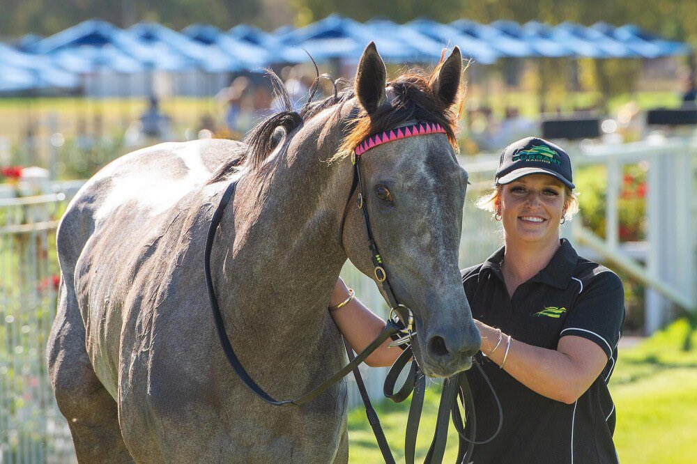 JasonMillerRace's tweet image. ADMIRATION EXPRESS goes bang in the Listed Schweppes Ascot 1000 Guineas! Thank you Luce for another fantastic ride on our little weapon “CC”, and another huge congratulations to all of our fantastic owners who are always on track to cheer the grey girl home!