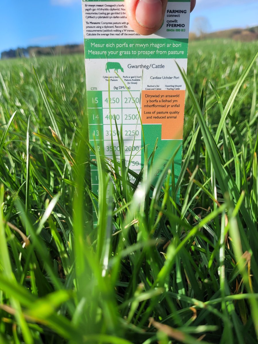 Mathew Roberts tweet media