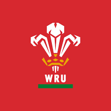 daimogssoapbox's tweet photo. Official Timekeeper today appointed by @WelshRugbyUnion for Wales v England @EnglandRugby game today @principalitysta #RefsTeam supporting French Rugby @FranceRugby @WorldRugby Referee Mathieu Raynal, as always honoured to be part of Officials Team, enjoy today #RespectRugbyRefs https://t.co/PWxA4soliV