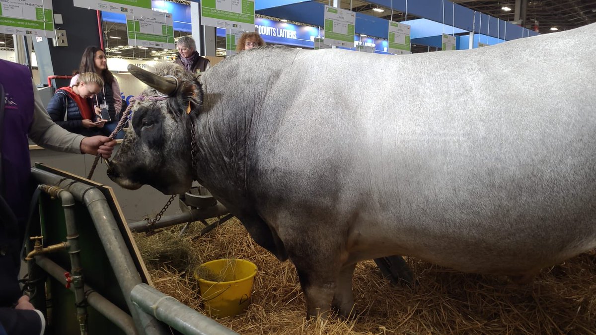 nadegehavet's tweet image. Aux côtés de ⁦@EmmanuelMacron⁩ ce matin au ⁦@Salondelagri⁩. Dialogue avec la filière pêche pour évoquer l’avenir de cette filière indispensable à notre souveraineté alimentaire et au #Devéco de la #Bretagne et du #Finistère ⁦@JeunesAgri⁩