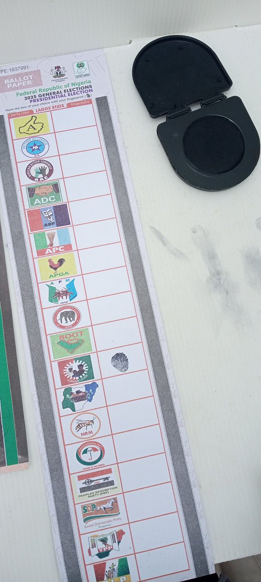 This is how to vote Nigerians, don't forget